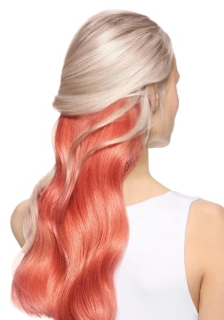 L'Oréal Professionnel Image Model After