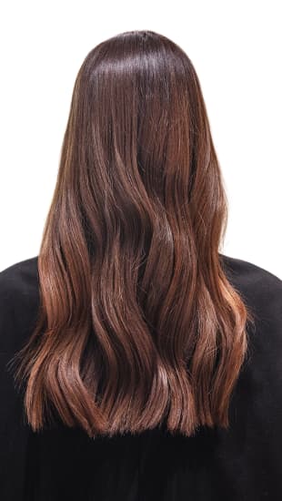 L'Oréal Professionnel