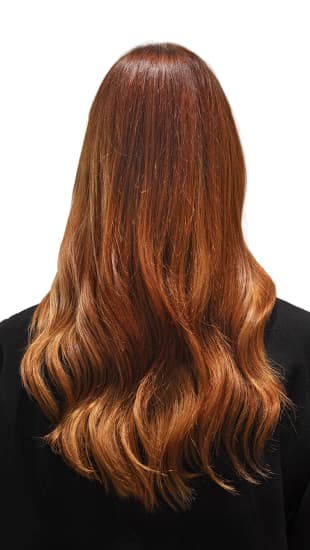 L'Oréal Professionnel