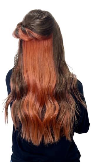 L'Oréal Professionnel