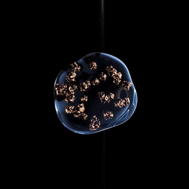 Img Video poster